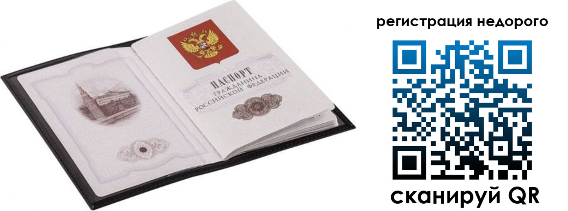 прописка штамп в Жуковке